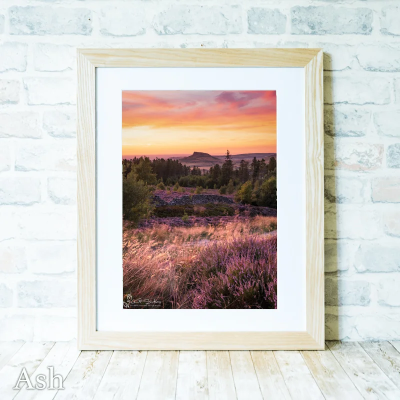 Roseberry Topping and Heather In Full Bloom 4 Roseberry Topping and Heather In Full Bloom - Ash-Portrait-Frame