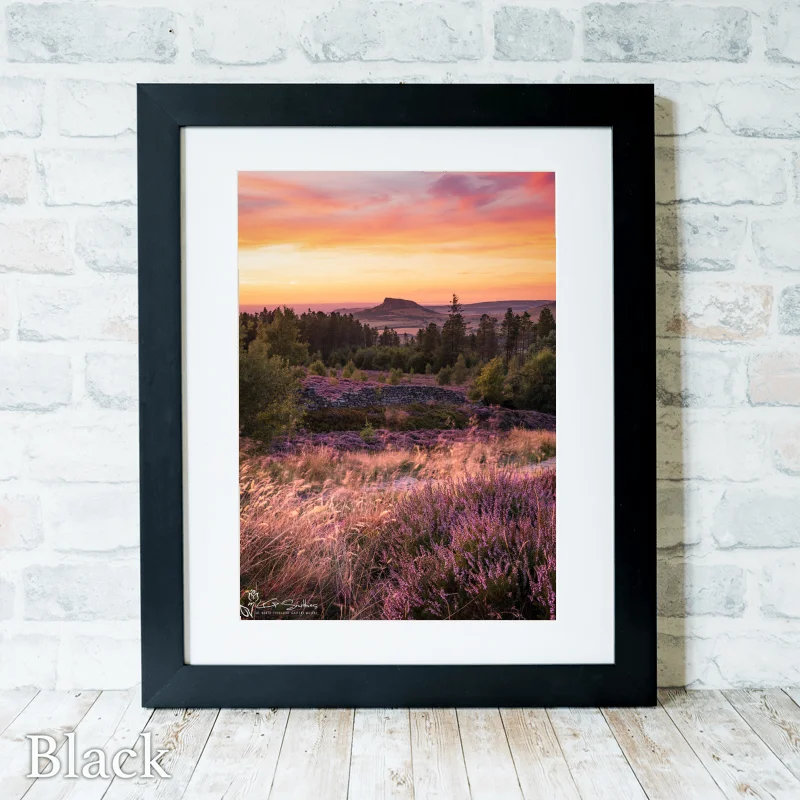 Roseberry Topping and Heather In Full Bloom 3 Roseberry Topping and Heather In Full Bloom - Black-Portrait-Frame