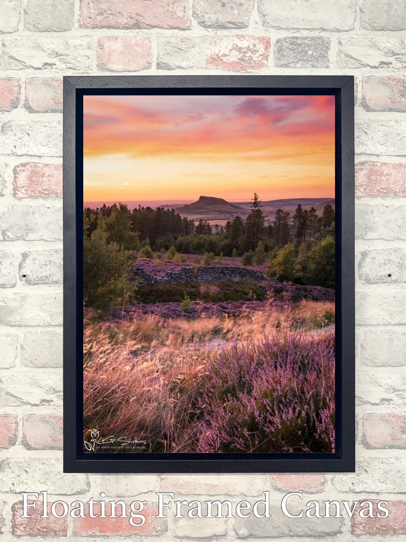 Roseberry Topping and Heather In Full Bloom 7 Roseberry Topping and Heather In Full Bloom - Float-Frame-Canvas-Portrait