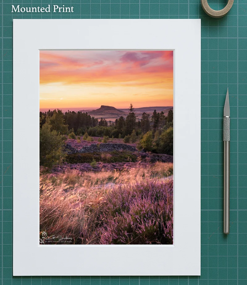 Roseberry Topping and Heather In Full Bloom 5 Roseberry Topping and Heather In Full Bloom - Mounted-Print-Portrait