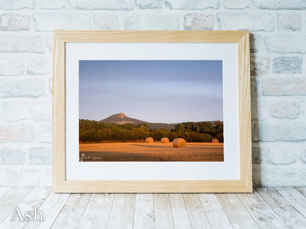 Roseberry Topping In Golden Light From The Fields Of Nunthorpe 7 Roseberry Topping In Golden Light From The Fields Of Nunthorpe - Ash-Landscape-Frame