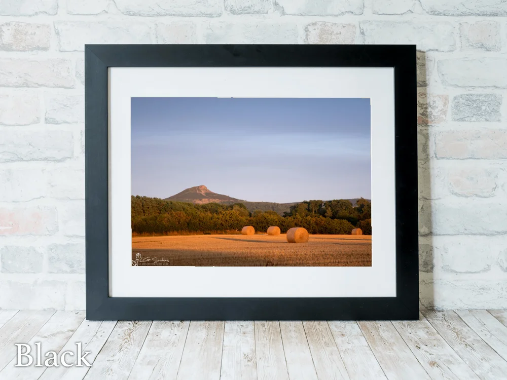 Roseberry Topping In Golden Light From The Fields Of Nunthorpe 6 Roseberry Topping In Golden Light From The Fields Of Nunthorpe - Black-Landscape-Frame