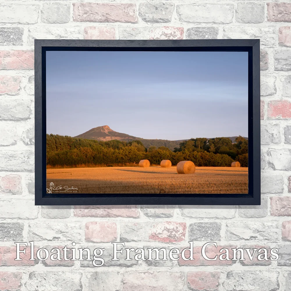 Roseberry Topping In Golden Light From The Fields Of Nunthorpe 3 Roseberry Topping In Golden Light From The Fields Of Nunthorpe - Landscape-Float-Frame-Canvas
