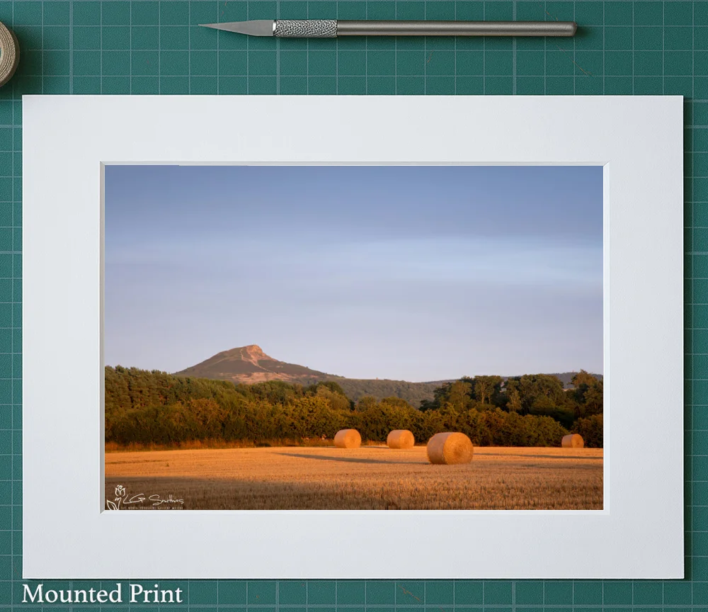 Roseberry Topping In Golden Light From The Fields Of Nunthorpe 2 Roseberry Topping In Golden Light From The Fields Of Nunthorpe - Landscape-Mounted-Print