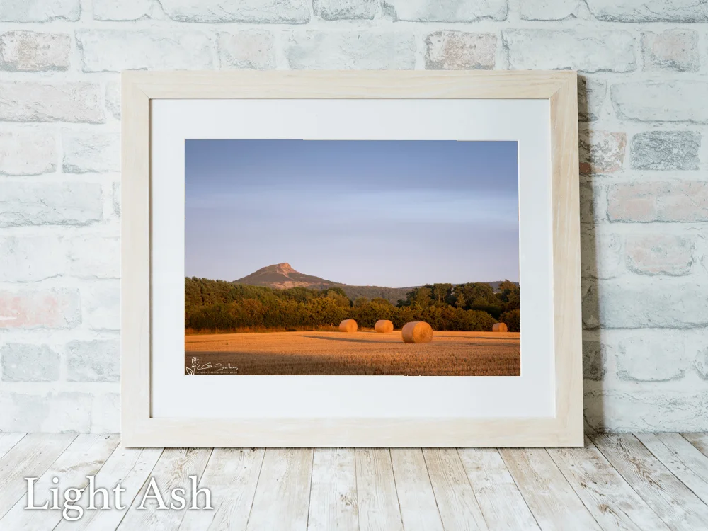Roseberry Topping In Golden Light From The Fields Of Nunthorpe 5 Roseberry Topping In Golden Light From The Fields Of Nunthorpe - Light-Ash-Landscape-Frame