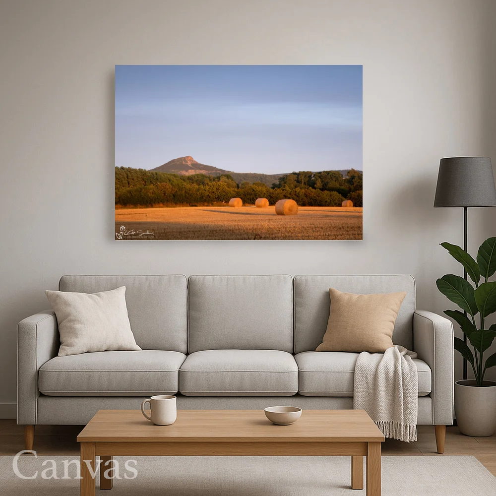 Roseberry Topping In Golden Light From The Fields Of Nunthorpe 8 Roseberry Topping In Golden Light From The Fields Of Nunthorpe - Wall-art-for-living-room-landscape