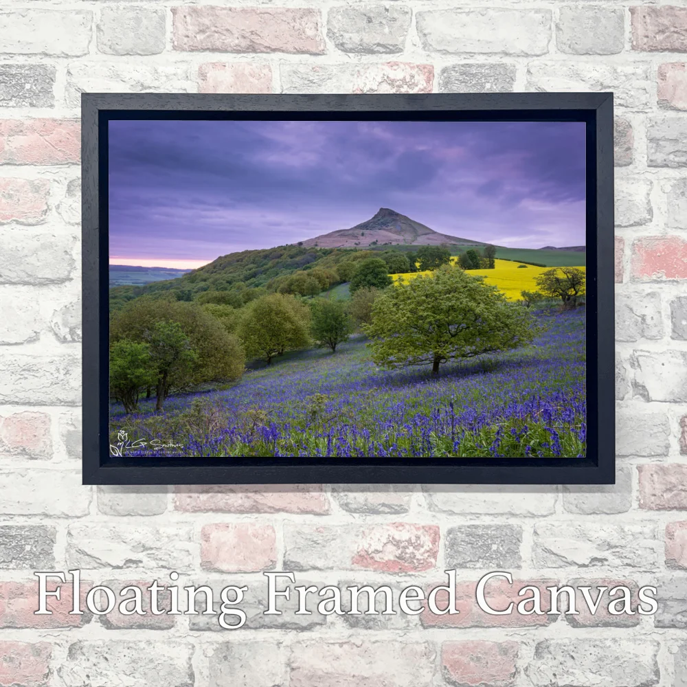 Roseberry Topping Morning Bluebells 3 Roseberry Topping Morning Bluebells - Landscape-Float-Frame-Canvas