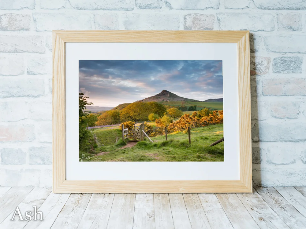Roseberry Topping Spring 7 Roseberry Topping Spring - Ash-Landscape-Frame
