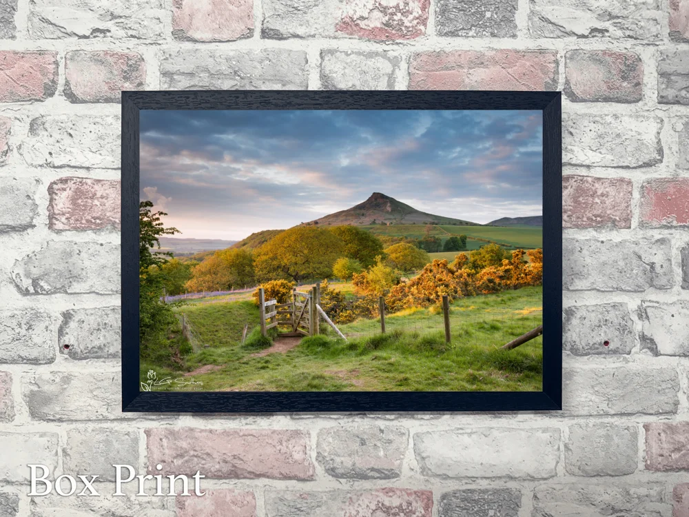 Roseberry Topping Spring 4 Roseberry Topping Spring - Landscape-Box-Print