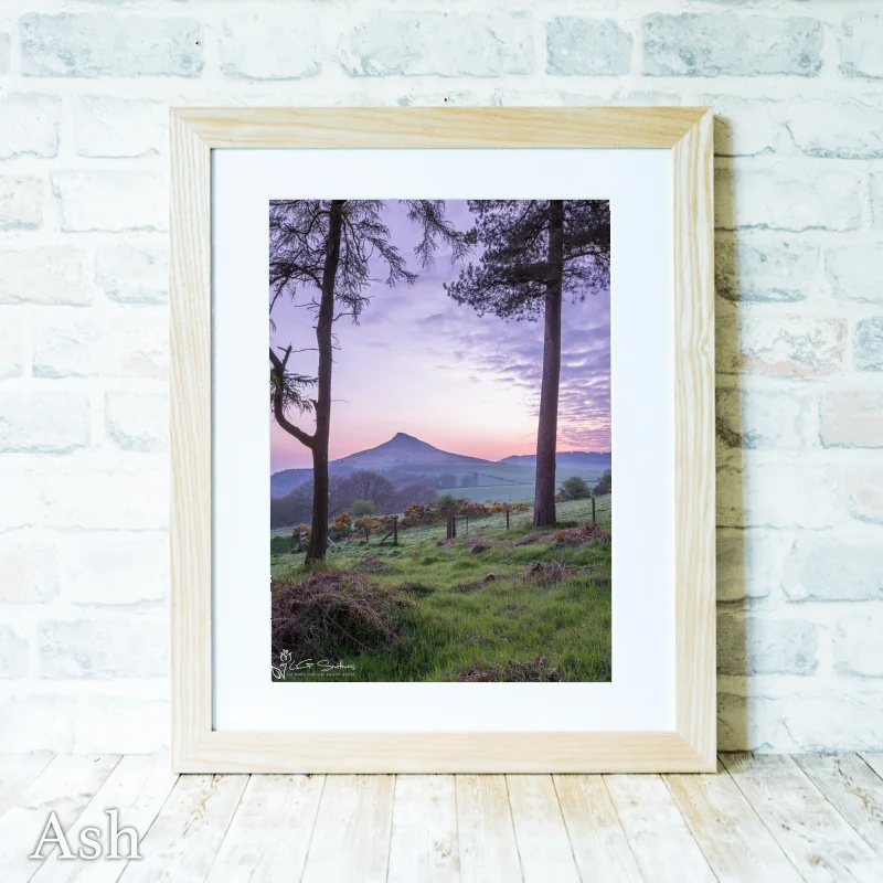Roseberry Topping Through The Trees 4 Roseberry Topping Through The Trees - Ash-Portrait-Frame