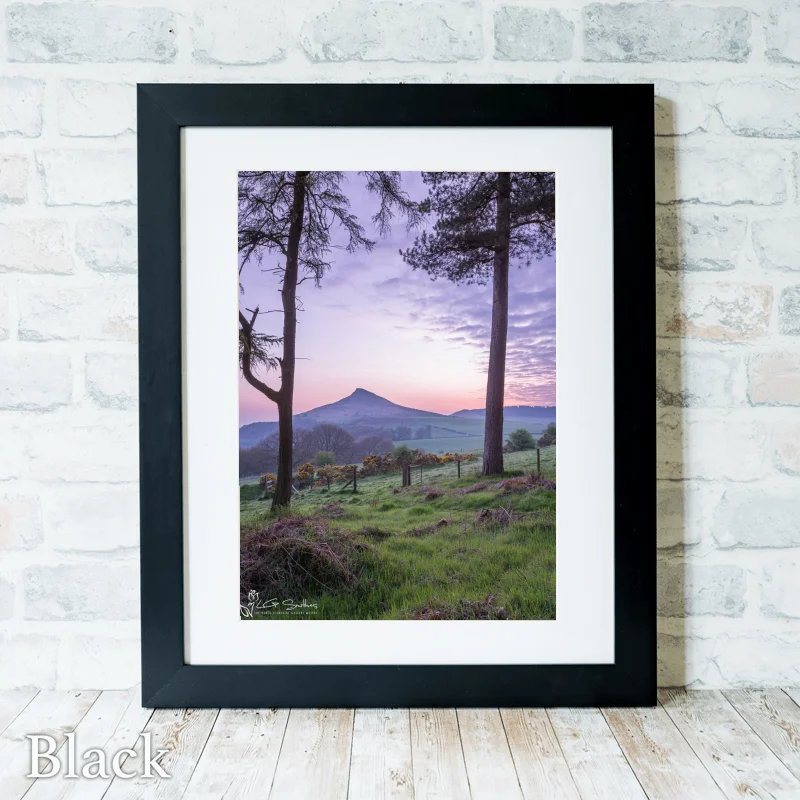 Roseberry Topping Through The Trees 3 Roseberry Topping Through The Trees - Black-Portrait-Frame