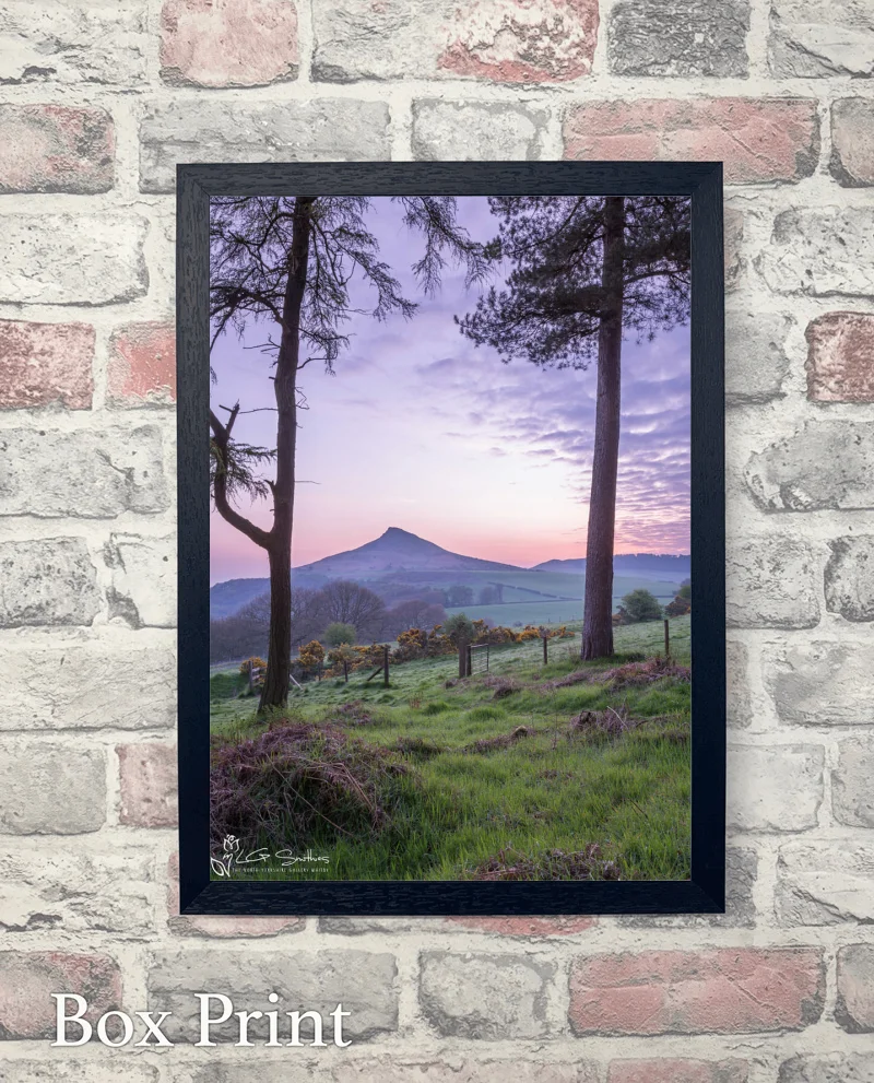 Roseberry Topping Through The Trees 6 Roseberry Topping Through The Trees - Box-Print-Portrait