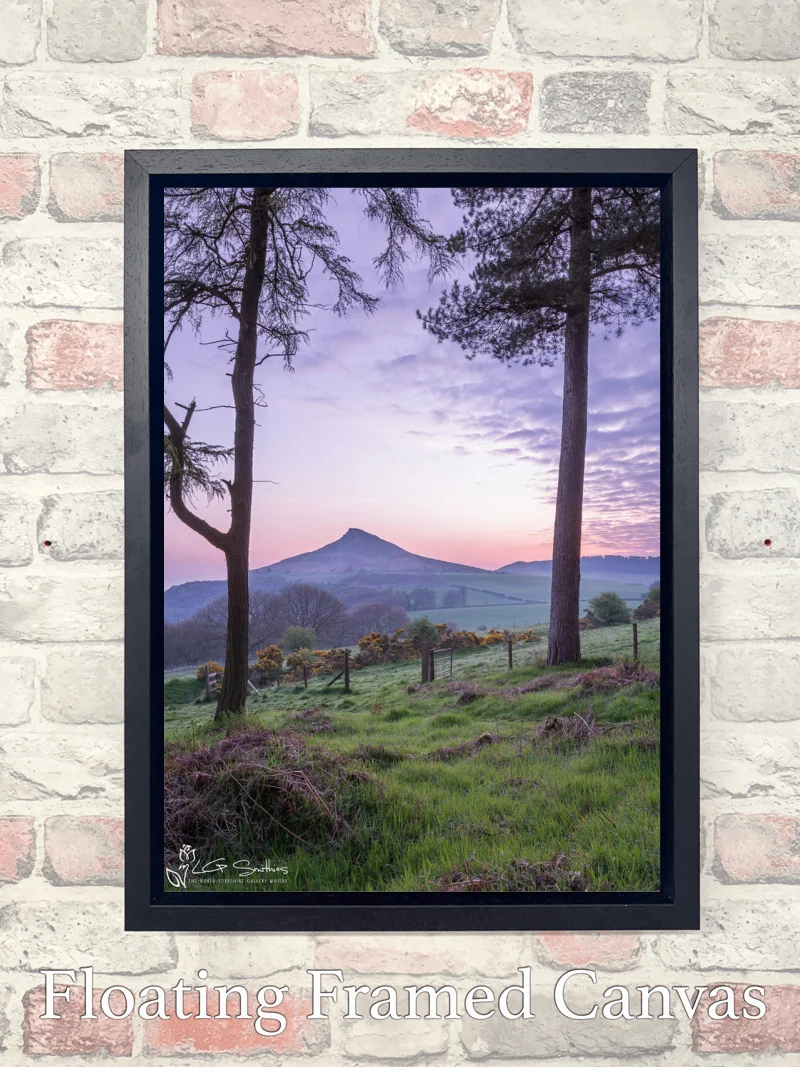 Roseberry Topping Through The Trees 7 Roseberry Topping Through The Trees - Float-Frame-Canvas-Portrait