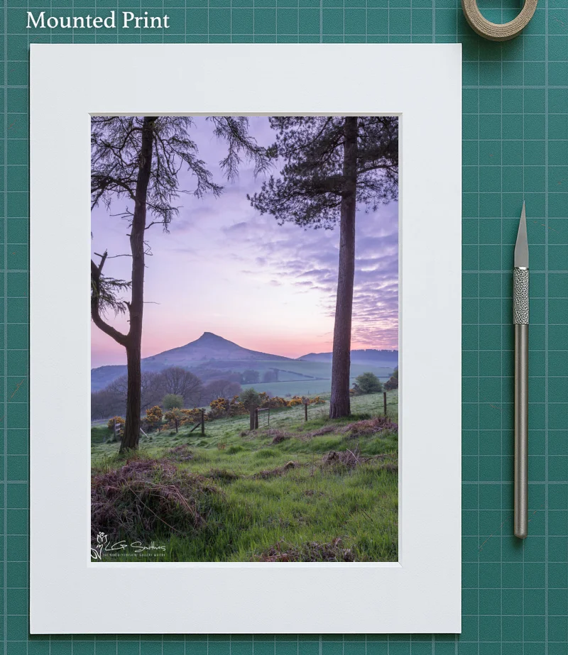 Roseberry Topping Through The Trees 5 Roseberry Topping Through The Trees - Mounted-Print-Portrait