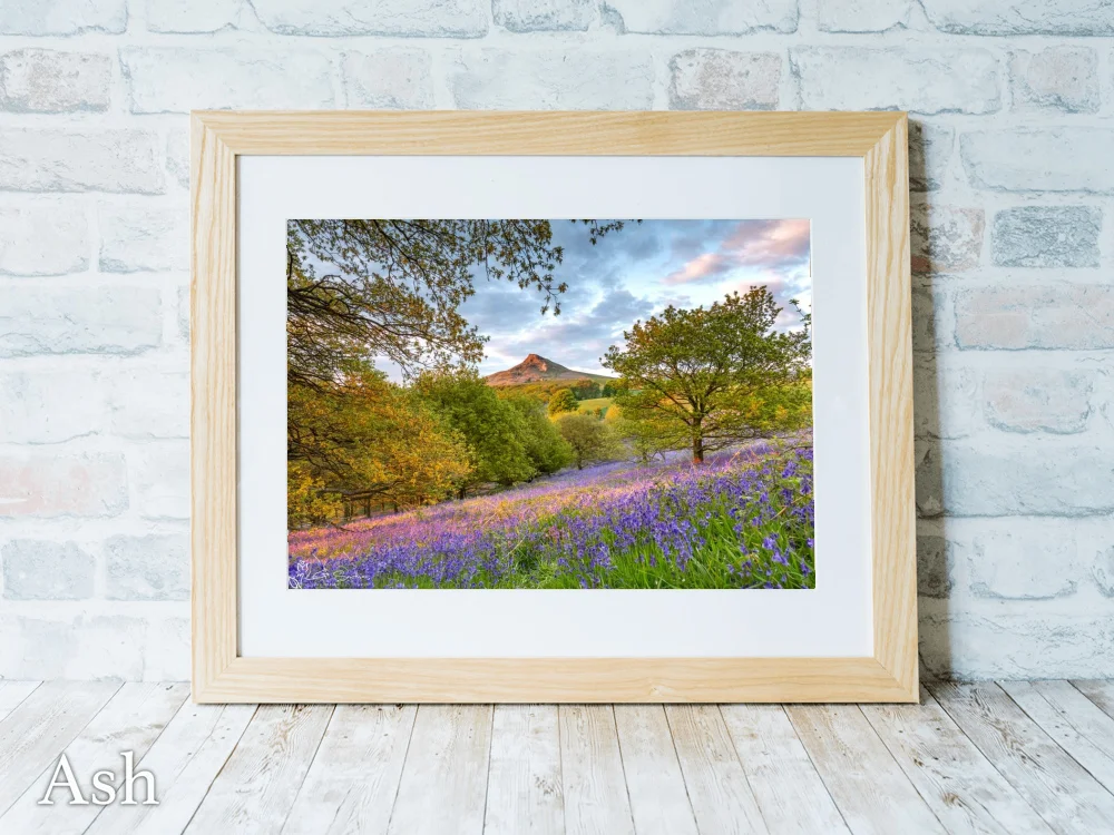 Roseberry's Bluebells 7 Roseberry's Bluebells - Ash-Landscape-Frame