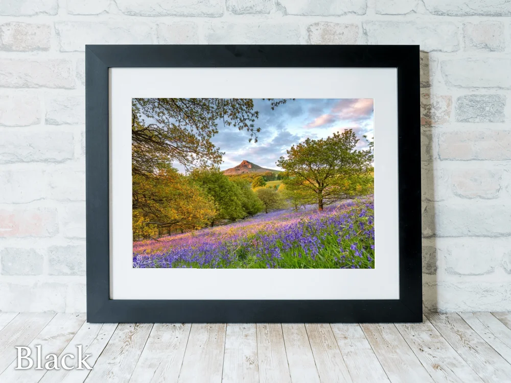 Roseberry's Bluebells 6 Roseberry's Bluebells - Black-Landscape-Frame