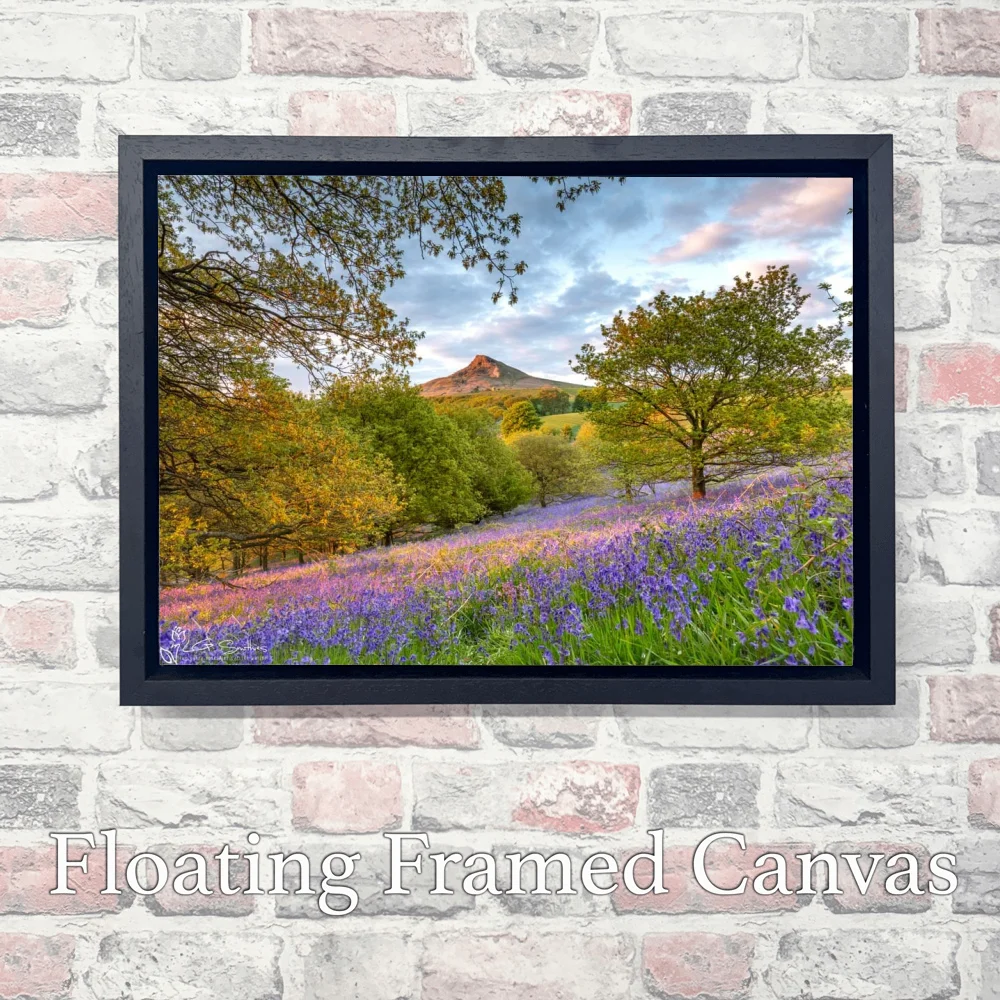 Roseberry's Bluebells 3 Roseberry's Bluebells - Landscape-Float-Frame-Canvas