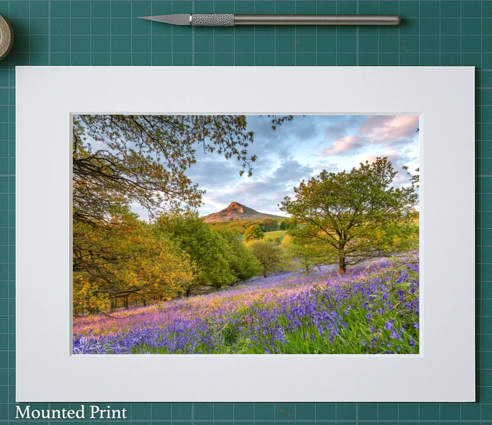 Roseberry's Bluebells 2 Roseberry's Bluebells - Landscape-Mounted-Print