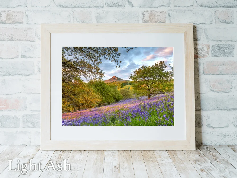 Roseberry's Bluebells 5 Roseberry's Bluebells - Light-Ash-Landscape-Frame