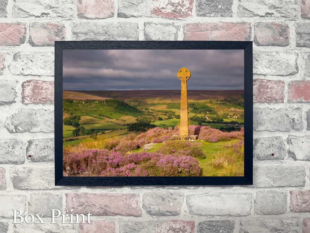 Rosedale 4 Rosedale - Landscape-Box-Print