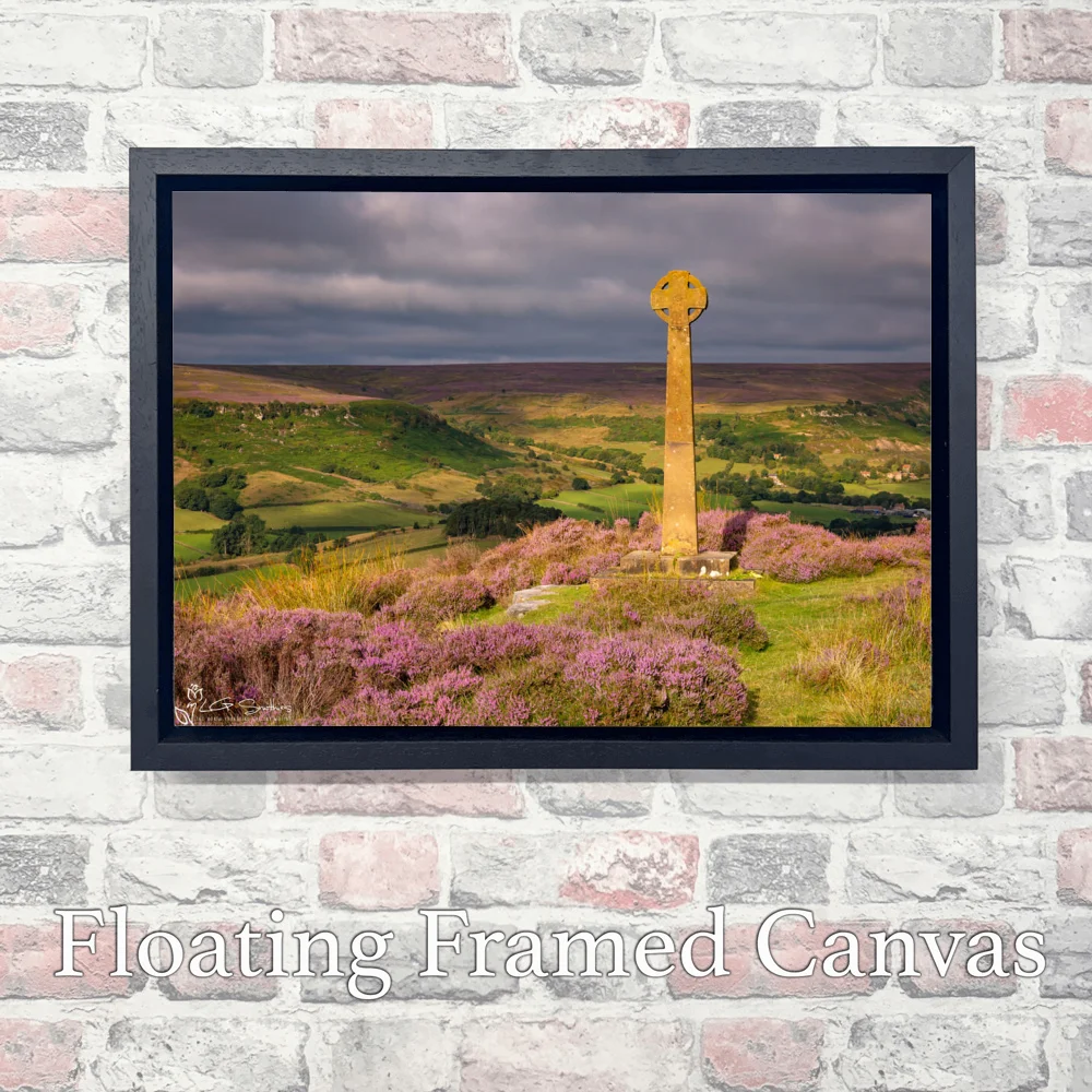 Rosedale 3 Rosedale - Landscape-Float-Frame-Canvas