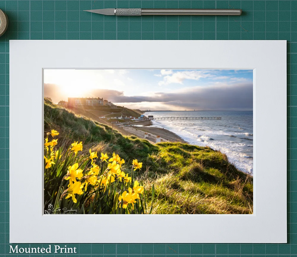 Saltburn Daffodils Sunset 2 Saltburn Daffodils Sunset - Landscape-Mounted-Print