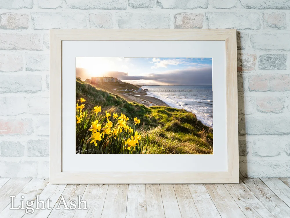 Saltburn Daffodils Sunset 5 Saltburn Daffodils Sunset - Light-Ash-Landscape-Frame