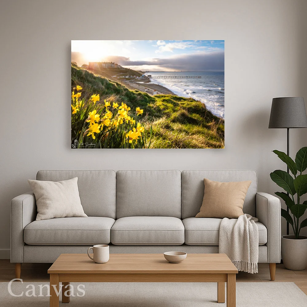 Saltburn Daffodils Sunset 8 Saltburn Daffodils Sunset - Wall-art-for-living-room-landscape
