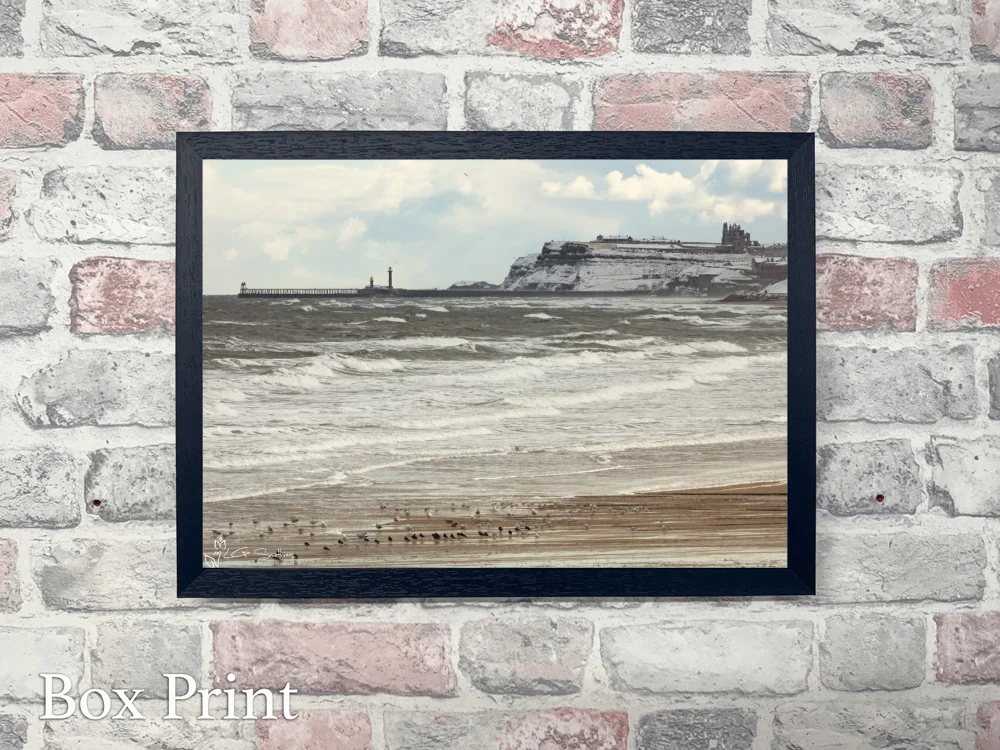 Seagulls On Whitby Beach 4 Seagulls On Whitby Beach - Landscape-Box-Print