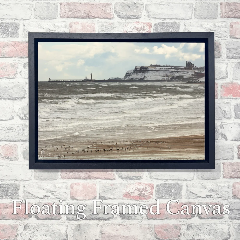 Seagulls On Whitby Beach 3 Seagulls On Whitby Beach - Landscape-Float-Frame-Canvas