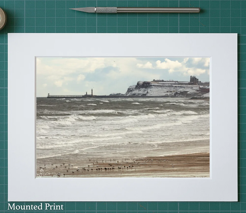 Seagulls On Whitby Beach 2 Seagulls On Whitby Beach - Landscape-Mounted-Print