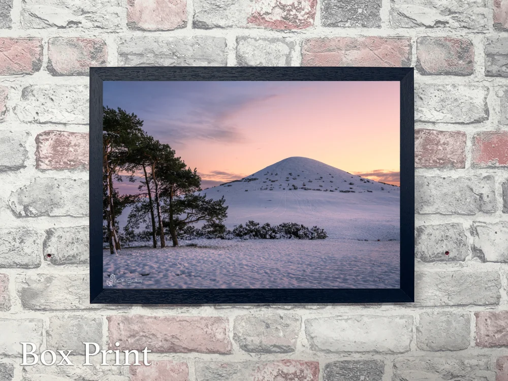 Snow Day, Freebrough Hill Moorsholm 4 Snow Day, Freebrough Hill Moorsholm - Landscape-Box-Print