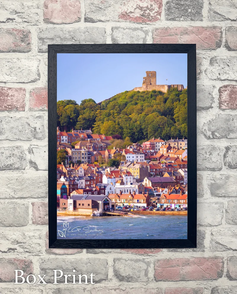 South Bay Scarborough 6 South Bay Scarborough - Box-Print-Portrait