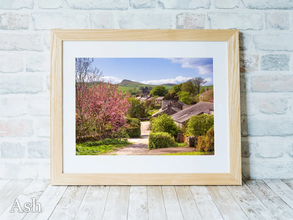 Stainforth Cottages in Spring Sunshine 7 Stainforth Cottages in Spring Sunshine - Ash-Landscape-Frame