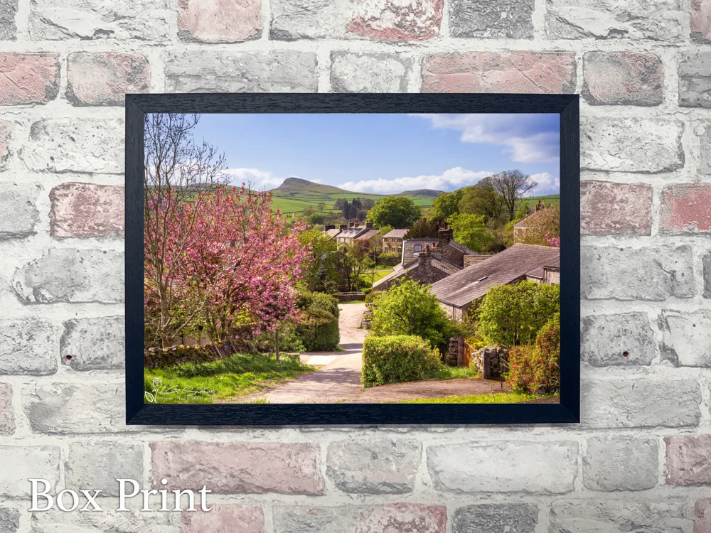 Stainforth Cottages in Spring Sunshine 4 Stainforth Cottages in Spring Sunshine - Landscape-Box-Print