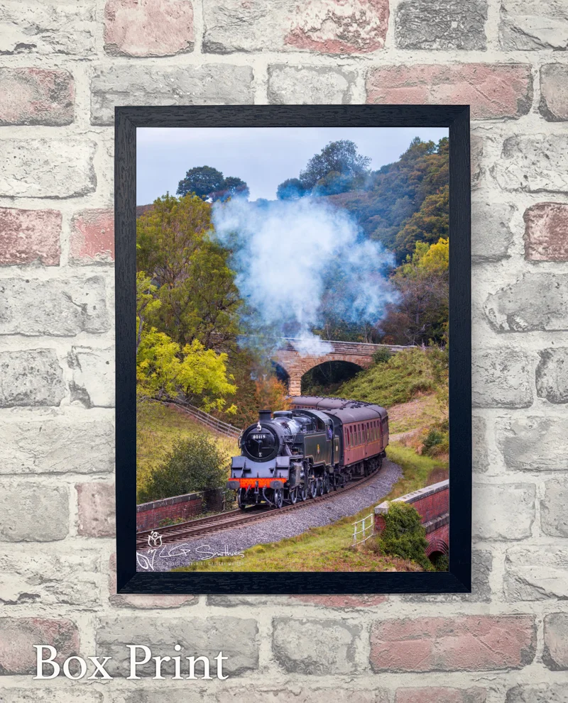 Standard 2MT No. 78019 At Darnholm 6 Standard 2MT No. 78019 At Darnholm - Box-Print-Portrait