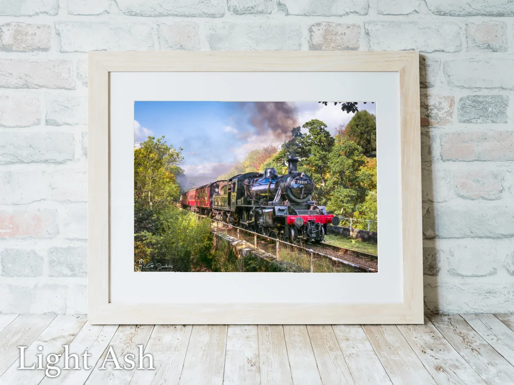 Standard 2MT No. 78019 At Water Arc NYMR 5 Standard 2MT No. 78019 At Water Arc NYMR - Light-Ash-Landscape-Frame