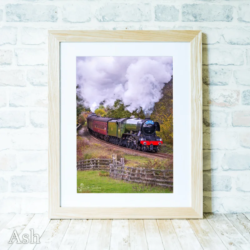 Steam Loco 60103 Flying Scotsman On The NYMR 4 Steam Loco 60103 Flying Scotsman On The NYMR - Ash-Portrait-Frame