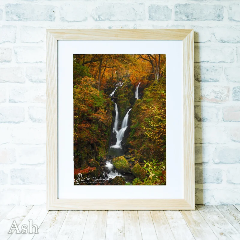 Stock Ghyll Force 4 Stock Ghyll Force - Ash-Portrait-Frame