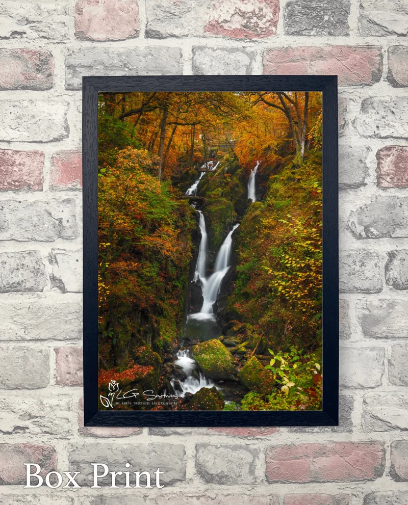 Stock Ghyll Force 6 Stock Ghyll Force - Box-Print-Portrait