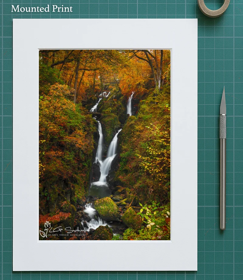 Stock Ghyll Force 5 Stock Ghyll Force - Mounted-Print-Portrait