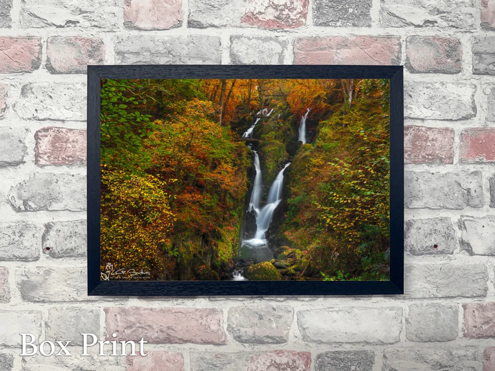 Stock Ghyll Force Waterfall 4 Stock Ghyll Force Waterfall - Landscape-Box-Print