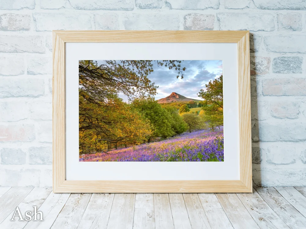 Sunset Bluebells Roseberry Topping 7 Sunset Bluebells Roseberry Topping - Ash-Landscape-Frame