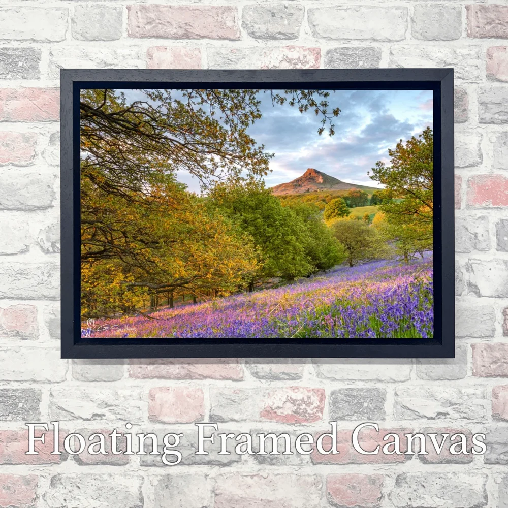 Sunset Bluebells Roseberry Topping 3 Sunset Bluebells Roseberry Topping - Landscape-Float-Frame-Canvas