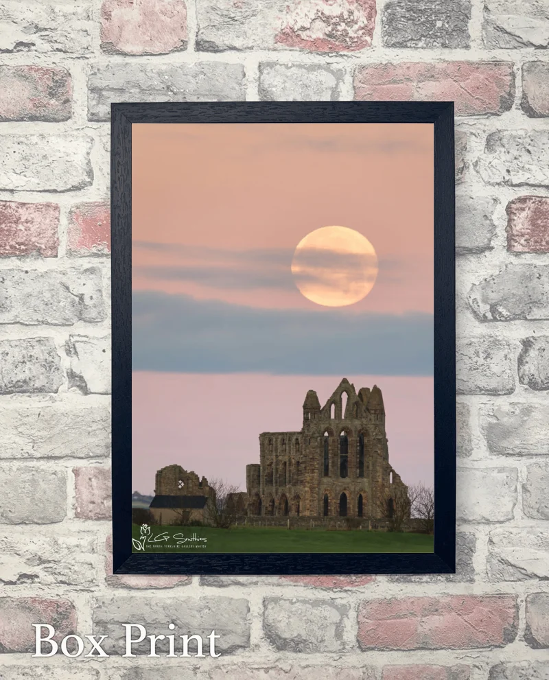Super Moon Over Whitby Abbey 6 Super Moon Over Whitby Abbey - Box-Print-Portrait
