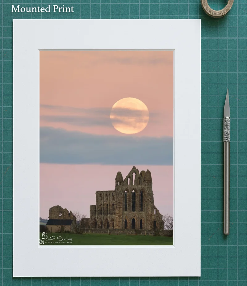 Super Moon Over Whitby Abbey 5 Super Moon Over Whitby Abbey - Mounted-Print-Portrait