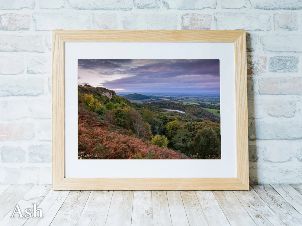 Sutton Bank Autumn 7 Sutton Bank Autumn - Ash-Landscape-Frame