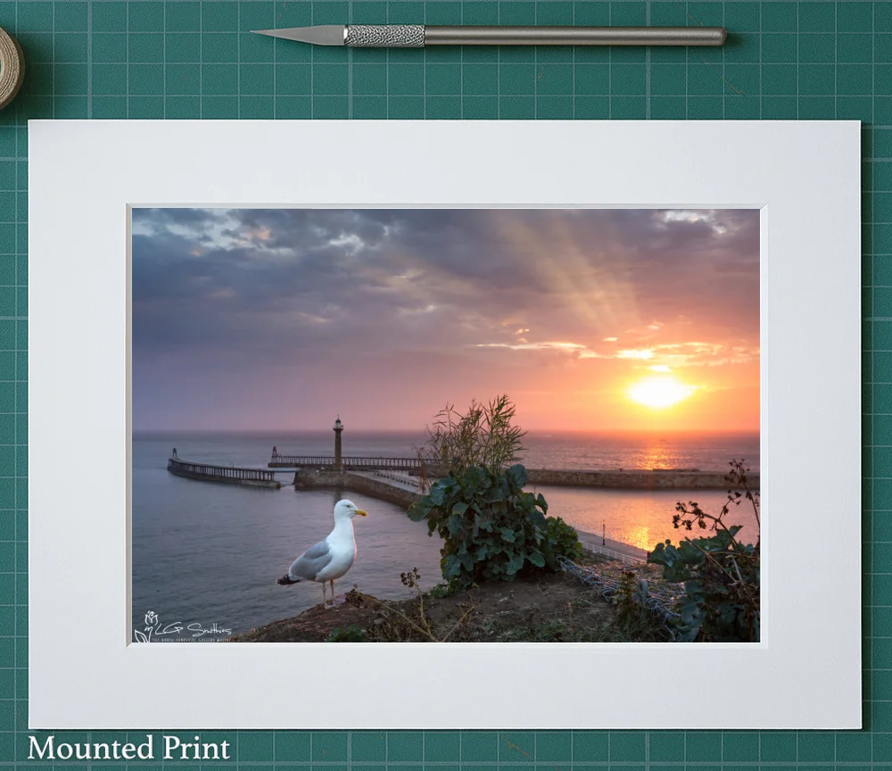 The Menace Of Whitby 2 The Menace Of Whitby - Landscape-Mounted-Print