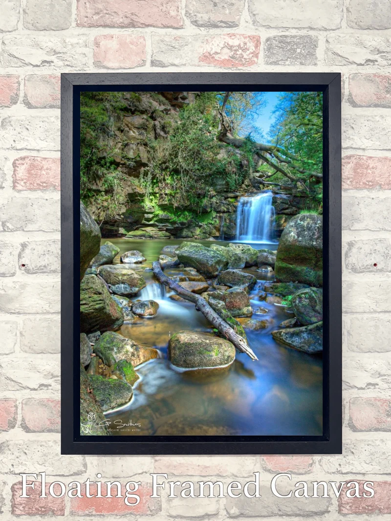 Thomason Foss 7 Thomason Foss - Float-Frame-Canvas-Portrait