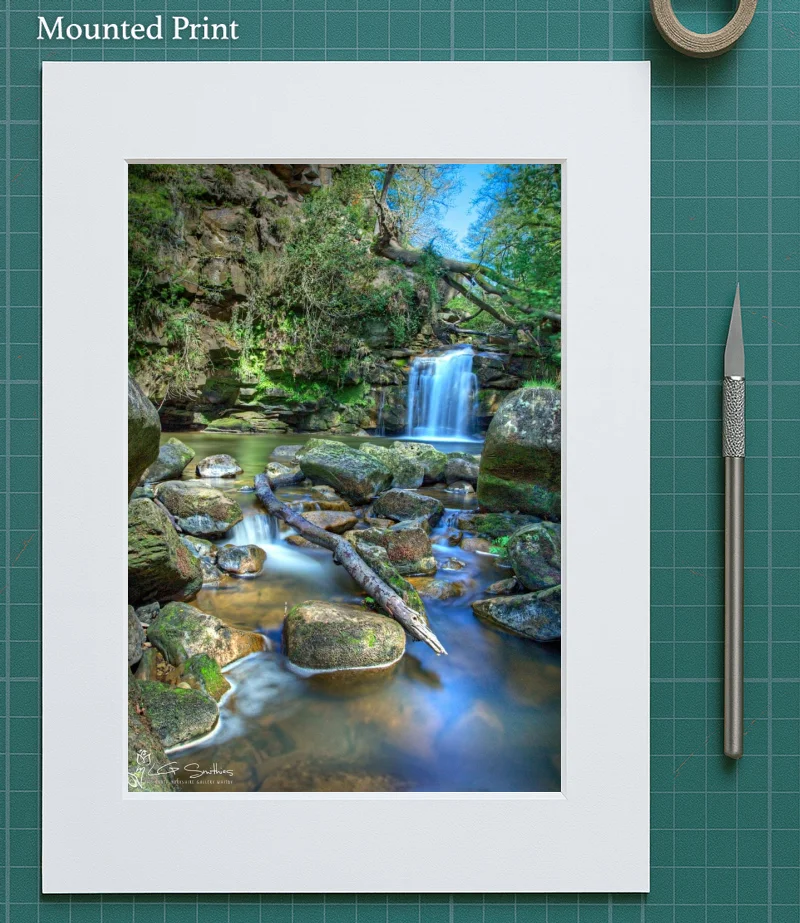 Thomason Foss 5 Thomason Foss - Mounted-Print-Portrait